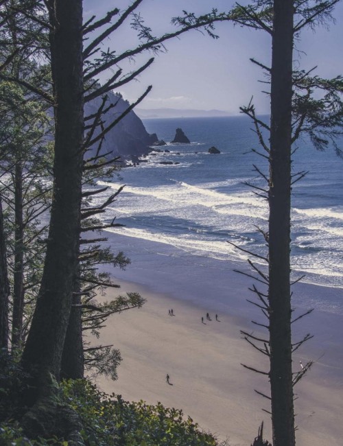 CANNON_BEACH_20